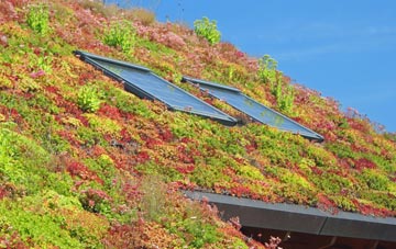 Little Horwood living roof systems